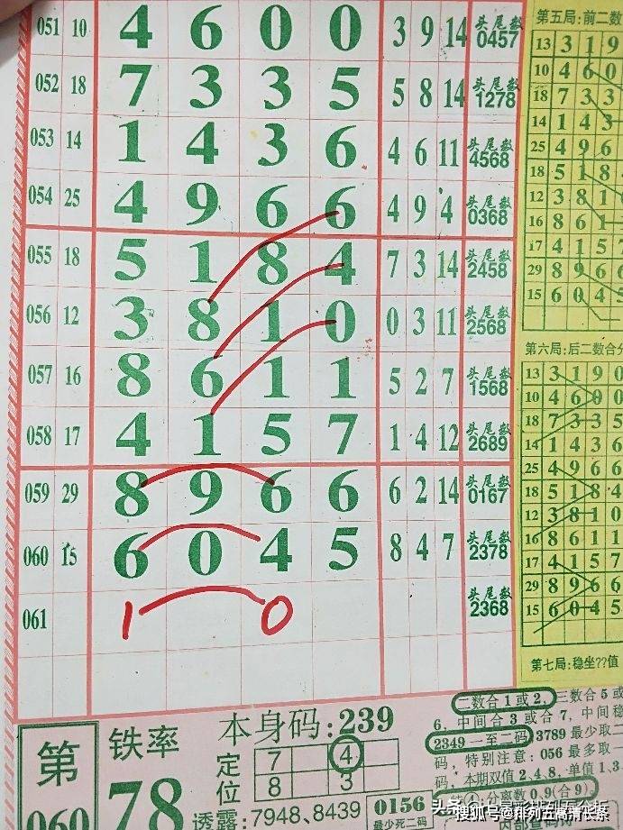 探索二肖3码的奥秘，解锁数字背后的趣味与智慧三码三肖