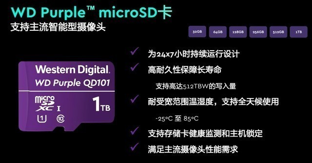 探索二肖3码的奥秘，解锁数字背后的趣味与智慧1肖十2码