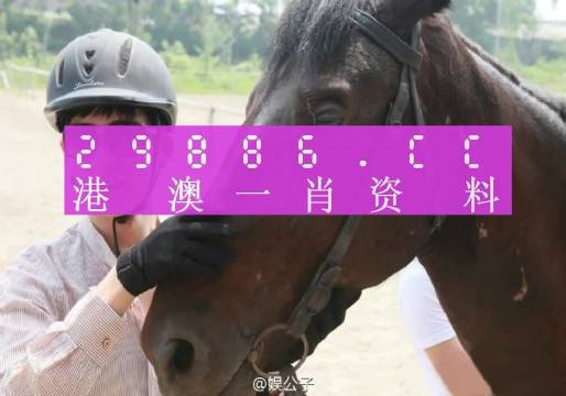 澳门一肖一码一必中一肖,进摩托车搭过的地方