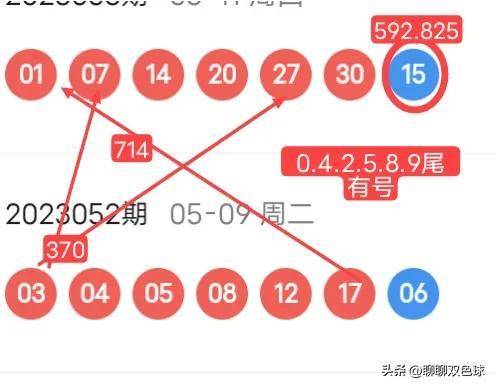 探索期四肖选一的奥秘，理性与直觉并行的投注策略期期四肖选一肖4949
