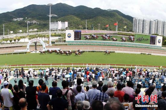 揭秘香港马赛，如何从最准资料中寻找赢家香港赛马会马会网站