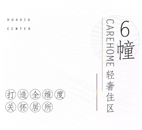 探索二肖3码的奥秘，数字背后的文化与智慧三码三肖