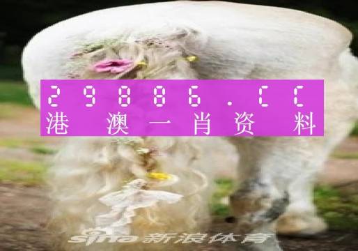 澳门内部三肖精准预测，期期的公开与理性分析澳门精选三肖三码中特期期准