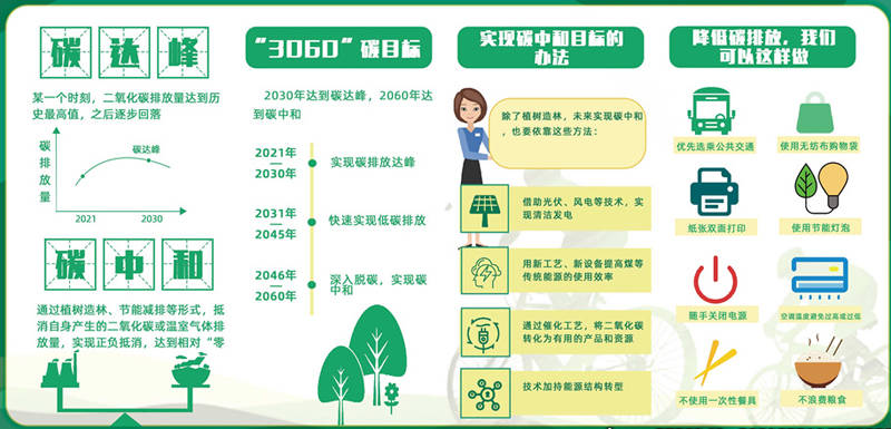 探索澳门，免费资料网站助您一臂之力打开澳门网站免费资料大全一