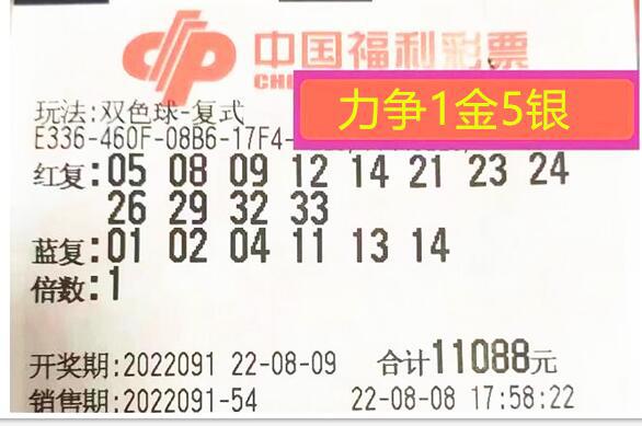 2048年澳门今晚开特马的理性思考，彩票与人生决策中的随机性与策略性选择2024澳门今晚开特马开什么号