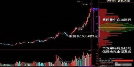 澳门三肖精准预测，揭秘王中王的神秘面纱澳门三肖三码精准100%王中王澳门土地公