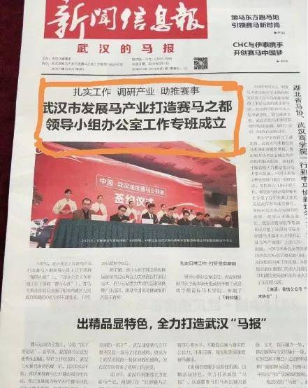 澳门今晚特马的背后，理性与娱乐并存的彩票文化探索之旅澳门今天晚上开什么特马11月26号开什么号码