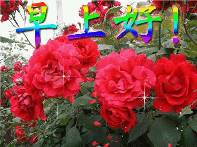 快乐8机选，一次意外的50万大奖之旅快乐8机选中奖500万是真的吗
