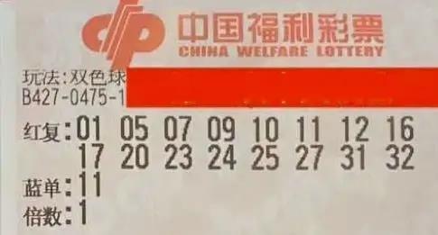 2046