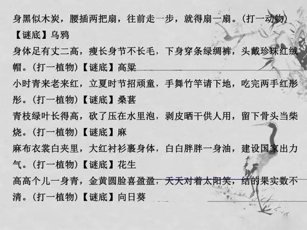 2025年5月 第23页