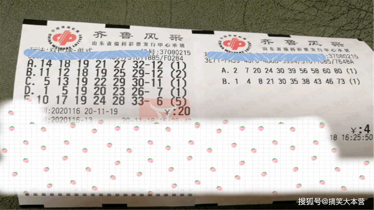 2049年，双色球开奖结果预测的未来视角2020067期双色球开奖结果查询结果