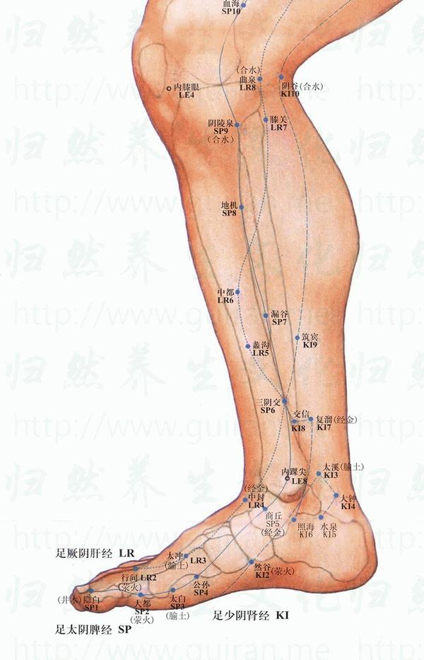 3D彩图总汇，1至9的视觉盛宴与创意无限3d彩图总汇总汇