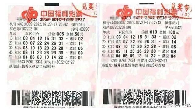2013年双色球第4期开奖结果，揭秘与回顾20231期双色球开奖号码