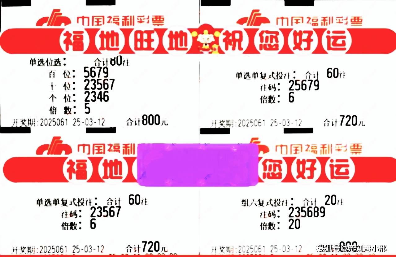 探索双胆图煲的奥秘，传统与现代烹饪艺术的完美融合双胆图迷