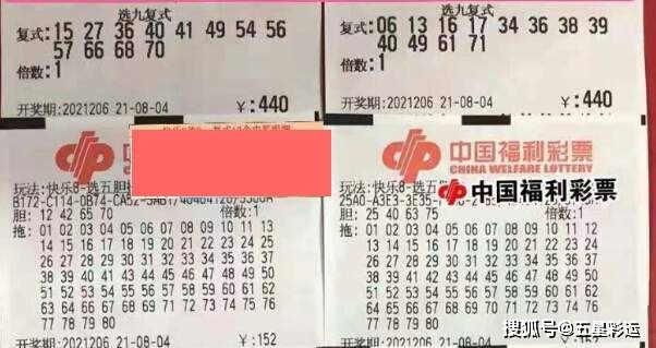 彩民乐树图，今天3B的智慧之选彩民乐树图今天3b