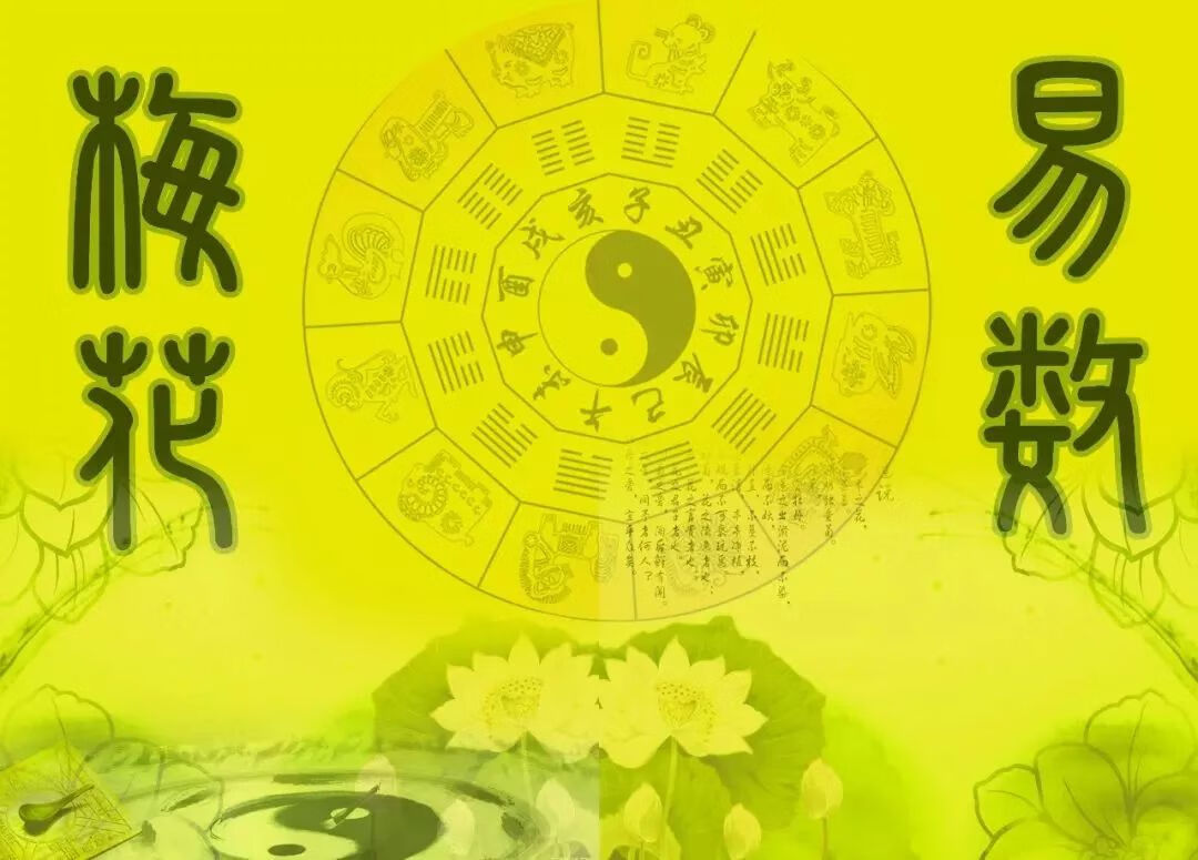 2025年6月4日 第11页