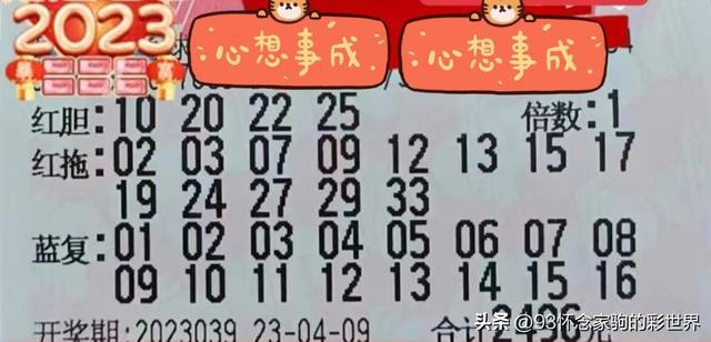 2019年双色球第85期开奖揭晓，幸运数字闪耀，梦想成真时刻双色球2021105期双色球开奖结果查询