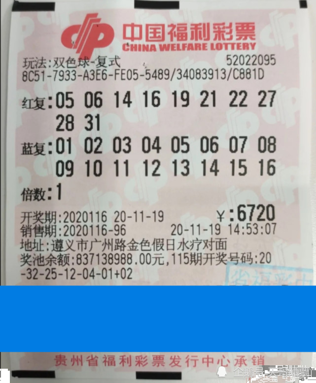 澳门新彩开奖记录203年最新结果，揭秘香港彩票的神秘面纱新澳门开奖
