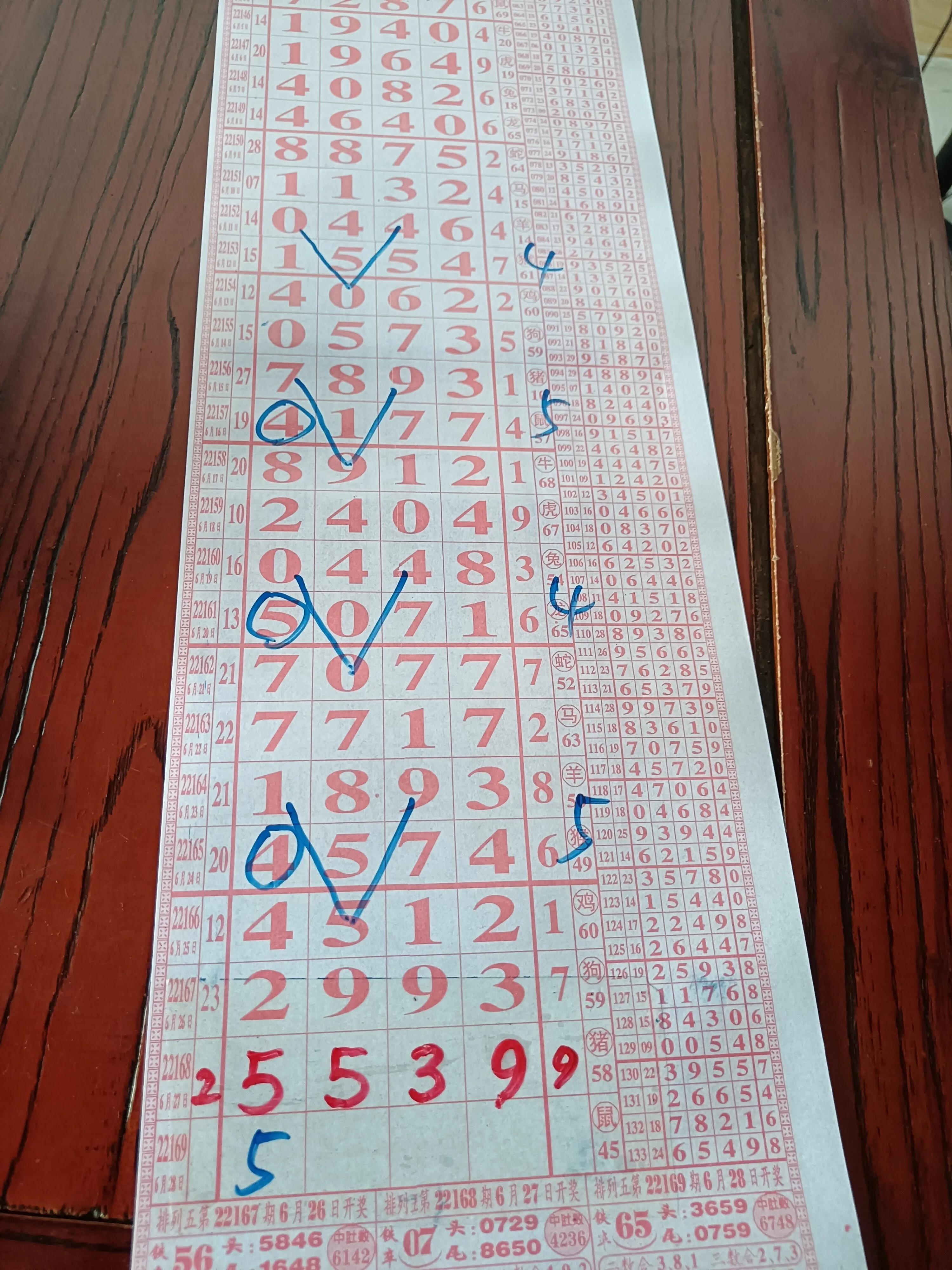 今日体彩排列五开奖号码官网揭晓，数字背后的幸运与期待今日体彩排列五开奖号码官网查询结果