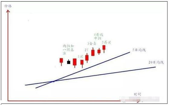 二十日均线，股市投资者的隐形指南二十日均线怎么看图解