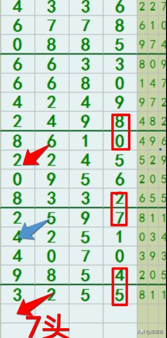 海南七星彩高手最新规律揭秘，洞悉数字背后的奥秘海南七星彩准确规律2021年